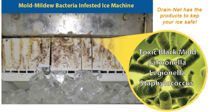 blackmoldinice-drain-net image black mold in ice machine